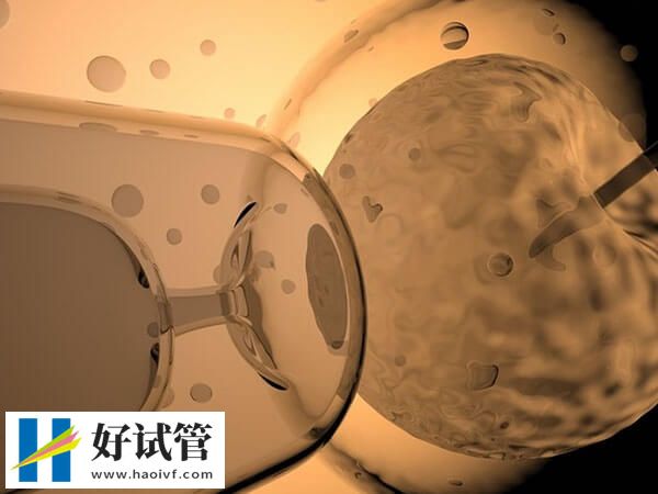 川北医学院附院人授厉不厉害?25-30岁多次助孕70%能成功(图1) 川北医学院附院人授怎么样