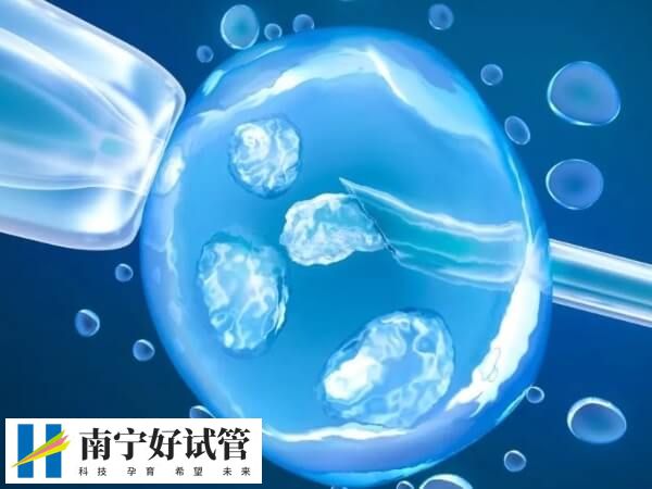 冻胚移植多少钱一次(图1)