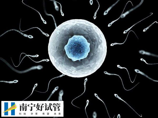 用供精做试管婴儿成功率有多少(图1)