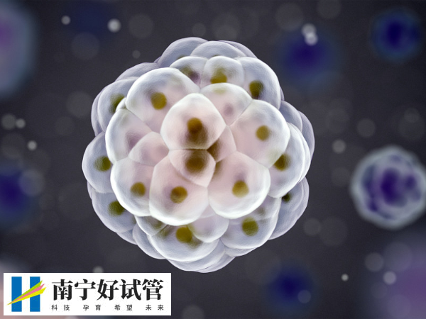 试管取卵后如何知道结果(图3)