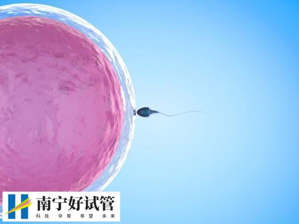 试管自然取卵配成的胚胎质量咋样(图1)