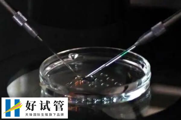 肩胛骨疼痛可能与多种因素相关
